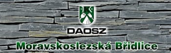 Moravskoslezská břidlice